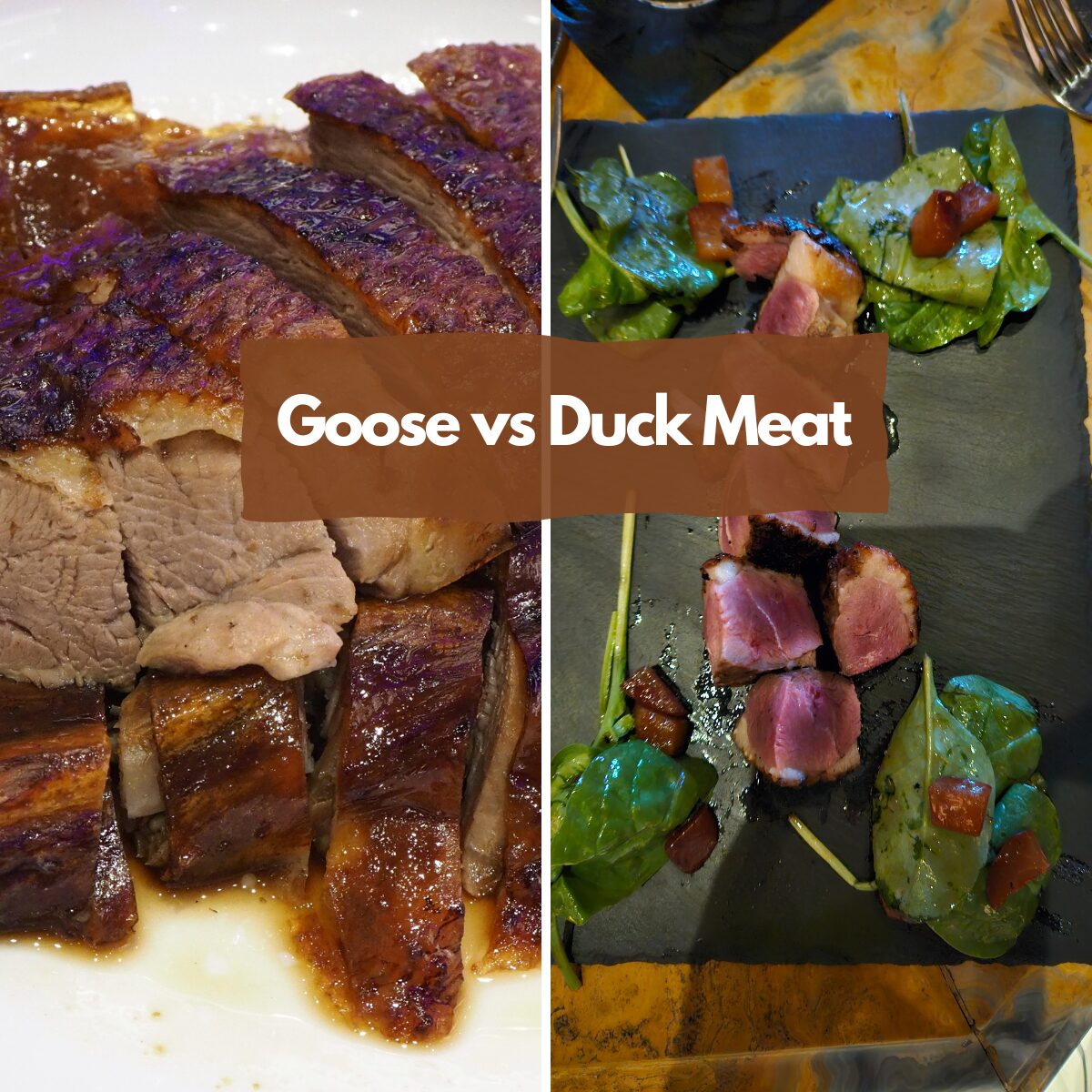 Goose vs Duck Meat